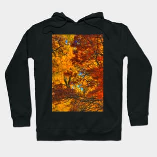 Painterly Hoodie